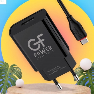 Зарядное устройство GFPower GF20M 1USB/microUSB 2.1A черный